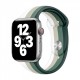 Λουράκι για Apple Watch 42/44mm Rainbow (πράσινο)