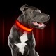 Περιλαίμιο σκύλου AG232 με φωτισμό LED, 34-44cm, μαύρο/κόκκινο